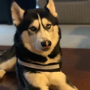 Meet your Posher, Branden